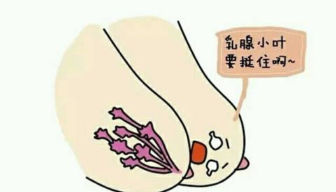 断奶后乳房下垂图片