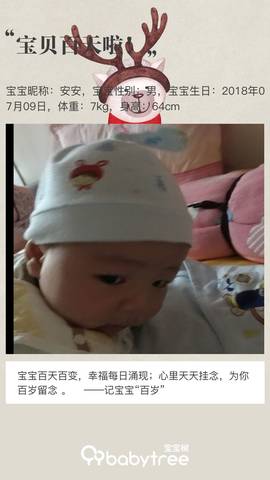 journal_insert_pic_1114476038