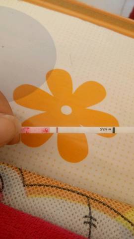 journal_insert_pic_1114360558