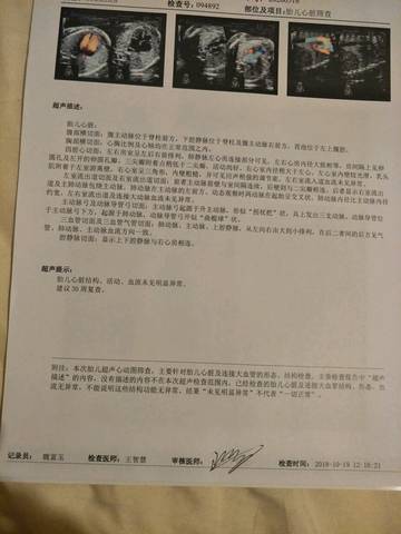 journal_insert_pic_1115039586