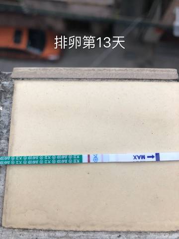 journal_insert_pic_1114938153