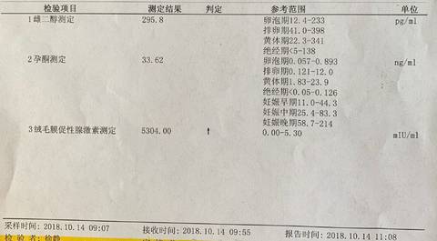 journal_insert_pic_1115746150