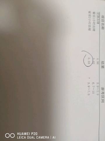 journal_insert_pic_1115896758