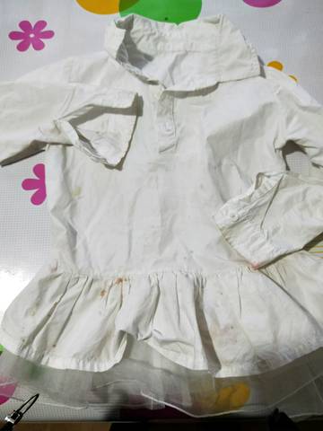 journal_insert_pic_1116374671