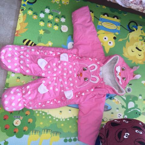 journal_insert_pic_1116218559
