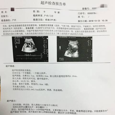 journal_insert_pic_1117027568