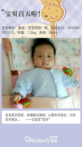 journal_insert_pic_1117489408