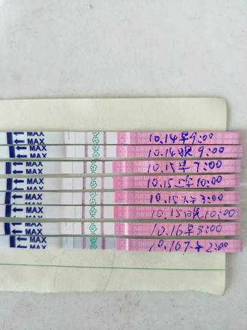 journal_insert_pic_1118122013