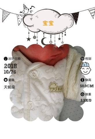 journal_insert_pic_1118871579