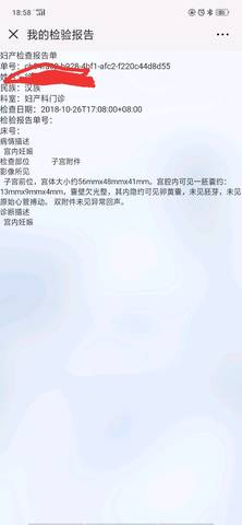 journal_insert_pic_1118852228