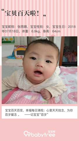 journal_insert_pic_1119077594