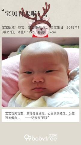 journal_insert_pic_1119498201