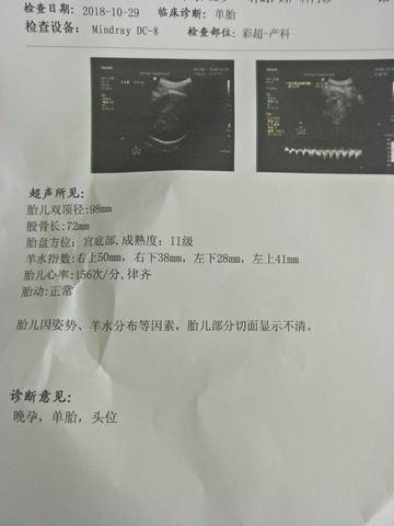 journal_insert_pic_1120349787