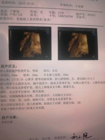 journal_insert_pic_1122248994