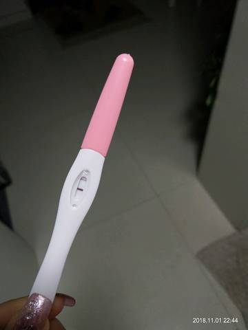 journal_insert_pic_1122335973