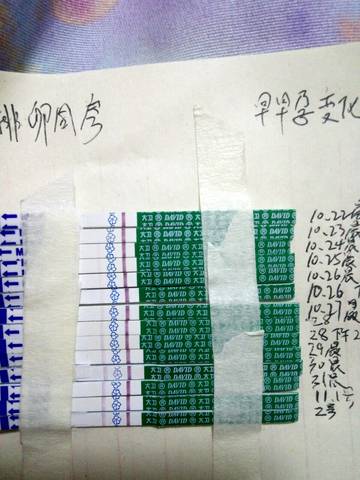 journal_insert_pic_1122729976