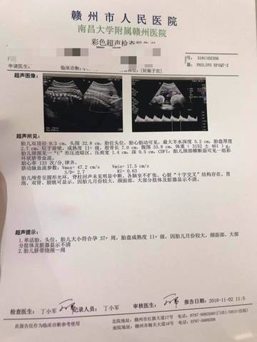 journal_insert_pic_1122533702