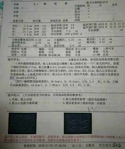 journal_insert_pic_1122432094