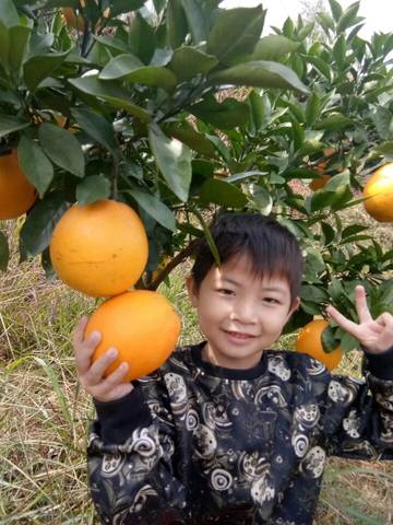 journal_insert_pic_1123503714