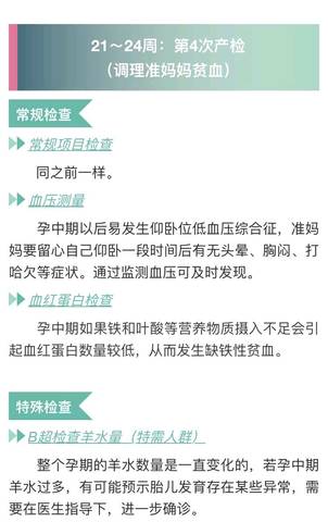 journal_insert_pic_1125457374