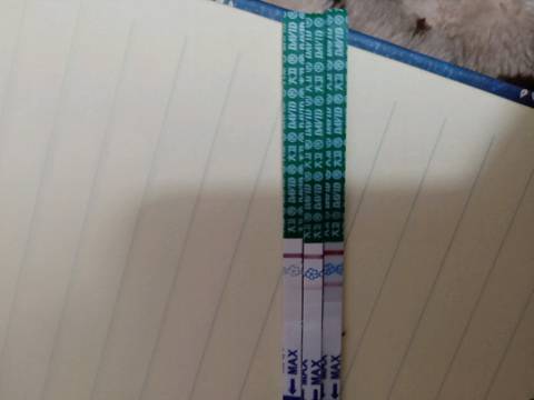 journal_insert_pic_1125476105