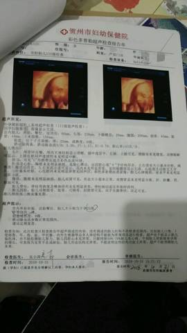 journal_insert_pic_1125413306
