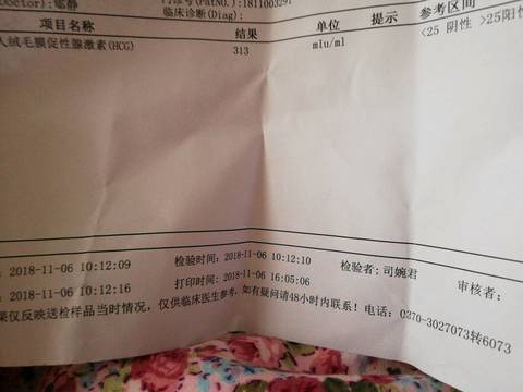 journal_insert_pic_1125274546