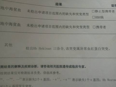 journal_insert_pic_1125611940