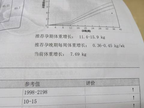 journal_insert_pic_1125669688
