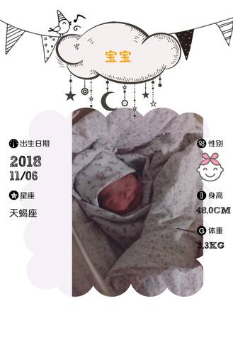 journal_insert_pic_1125669375