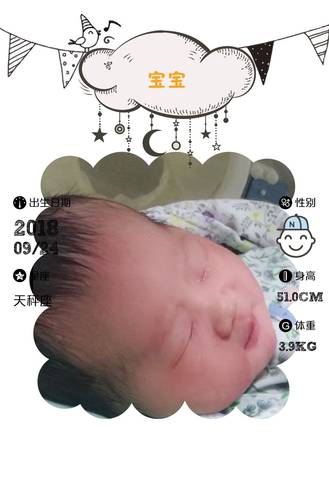 journal_insert_pic_1125988610