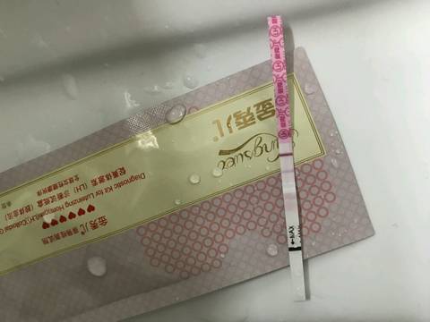 journal_insert_pic_1126299752