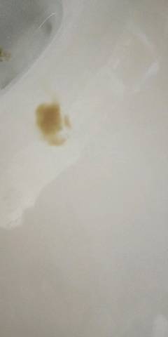 journal_insert_pic_1126543075