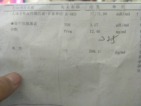 journal_insert_pic_1127154741