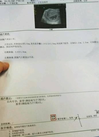 journal_insert_pic_1127286868