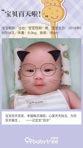 journal_insert_pic_1127359401