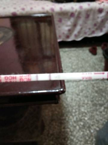 journal_insert_pic_1129534404