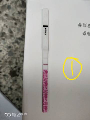 journal_insert_pic_1129890525