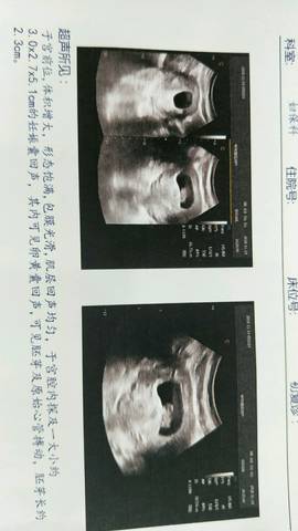 journal_insert_pic_1129632473