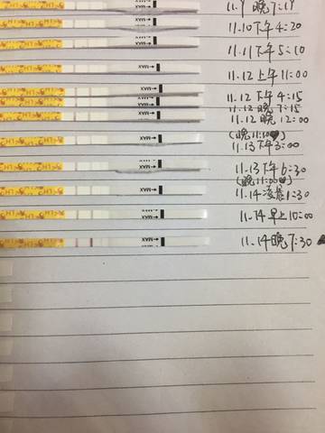 journal_insert_pic_1129766521