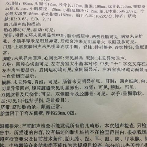journal_insert_pic_1130461214