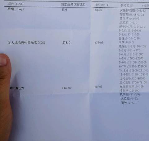 journal_insert_pic_1129961109