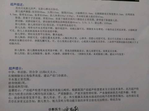 journal_insert_pic_1130975452