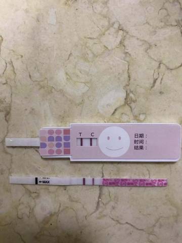 journal_insert_pic_1130743217