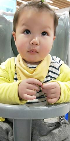journal_insert_pic_1130770765