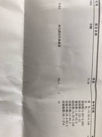 journal_insert_pic_1130723723