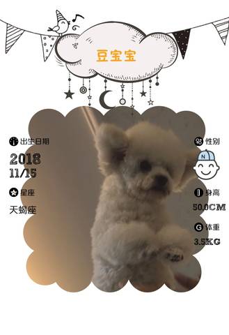 journal_insert_pic_1131490545