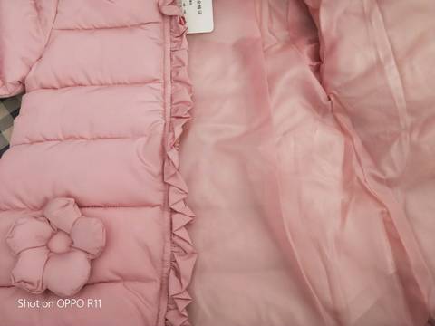 journal_insert_pic_1131240914