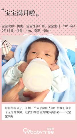 journal_insert_pic_1131391810