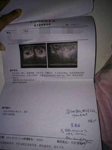 journal_insert_pic_1131266643